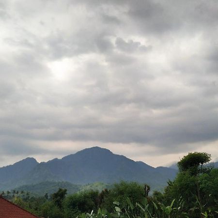 Villa Eliska Sari Sumberkima Pemuteran Exteriör bild