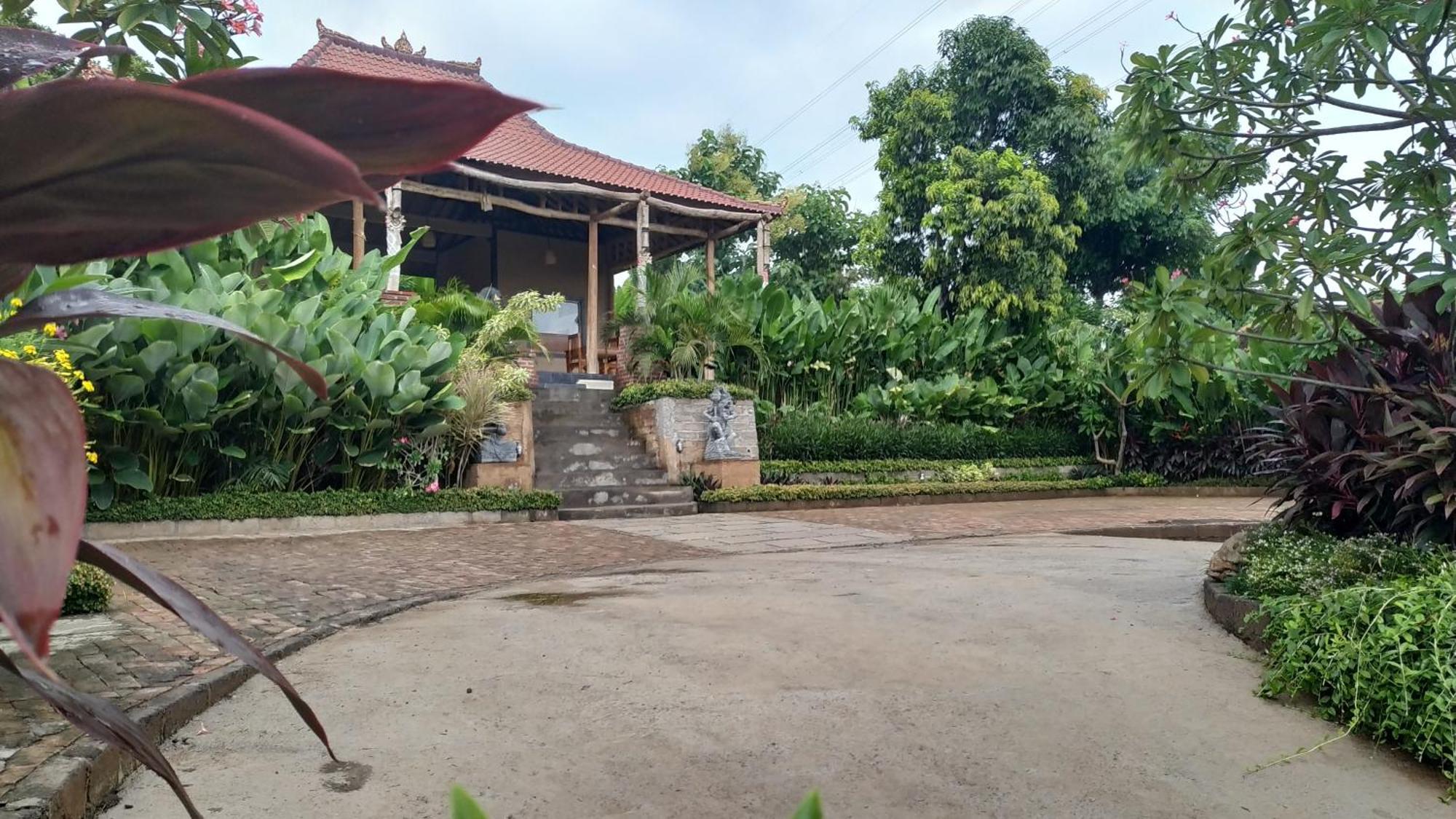 Villa Eliska Sari Sumberkima Pemuteran Exteriör bild