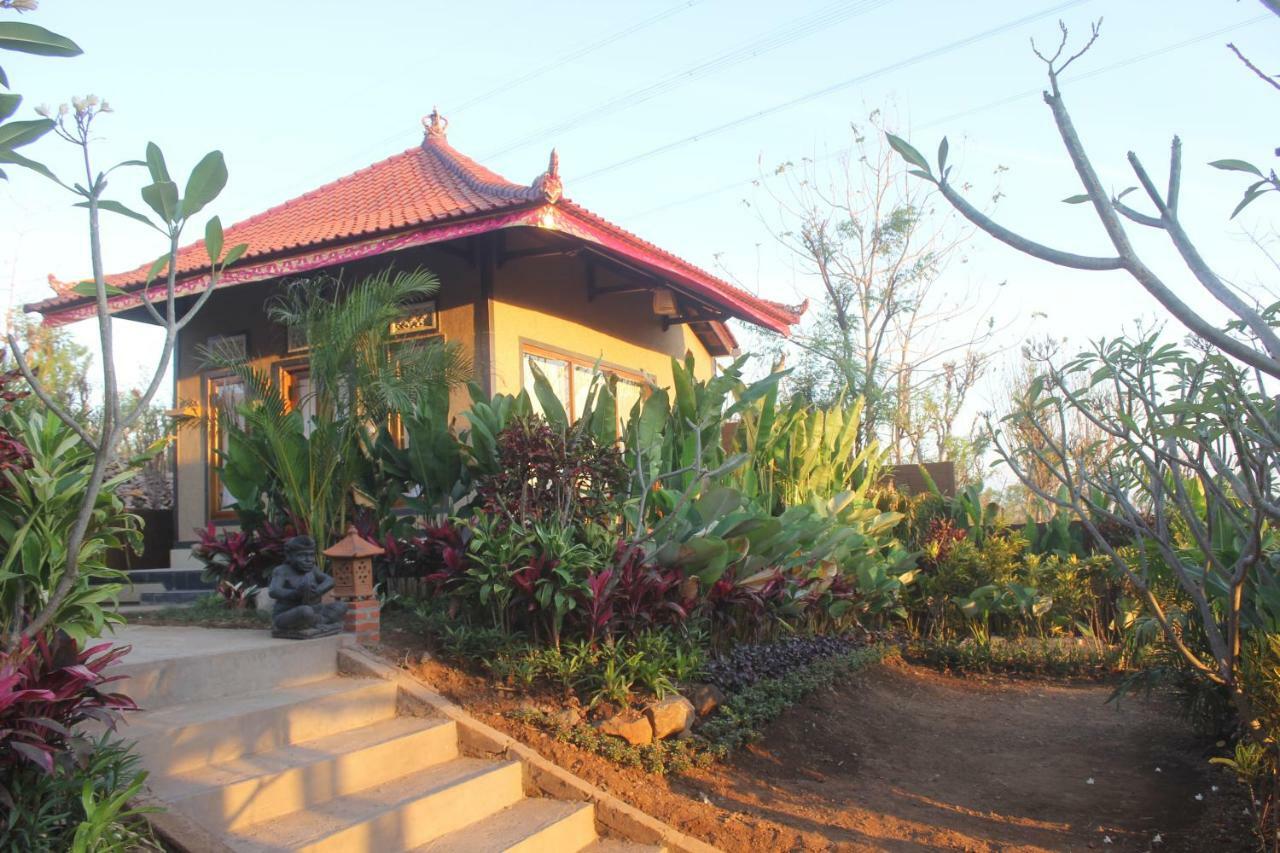 Villa Eliska Sari Sumberkima Pemuteran Exteriör bild