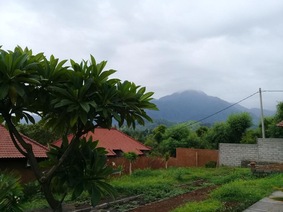 Villa Eliska Sari Sumberkima Pemuteran Exteriör bild