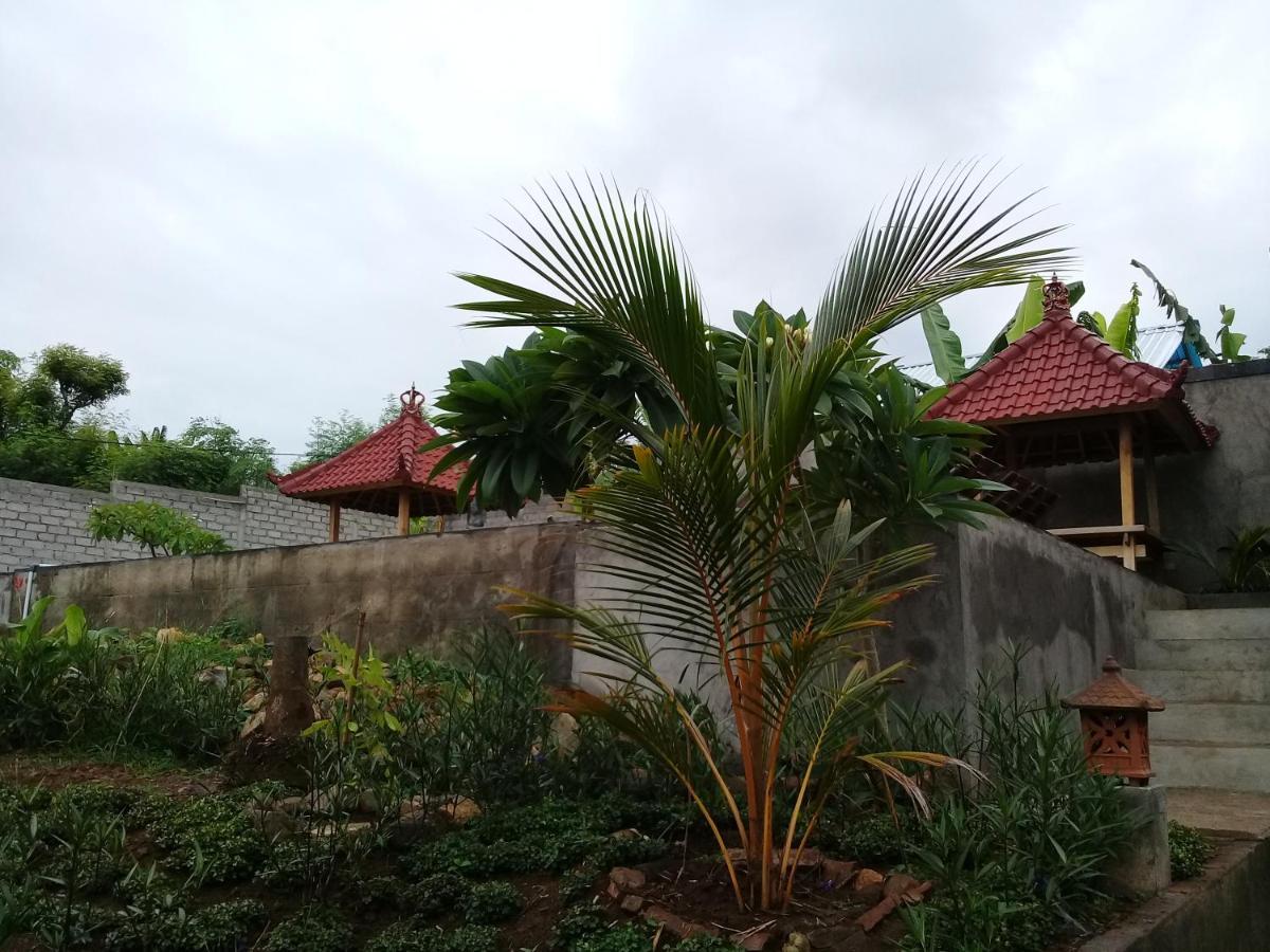 Villa Eliska Sari Sumberkima Pemuteran Exteriör bild