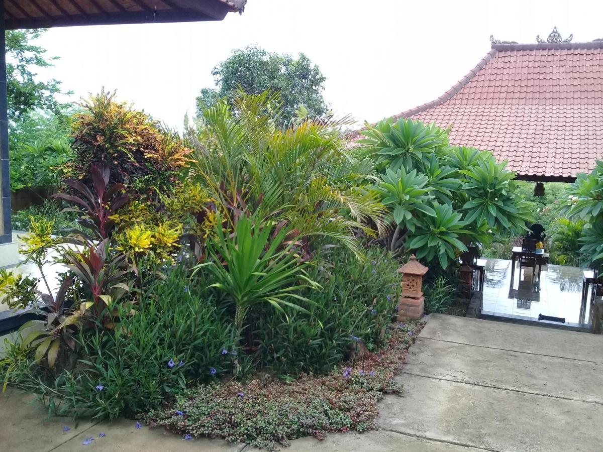 Villa Eliska Sari Sumberkima Pemuteran Exteriör bild