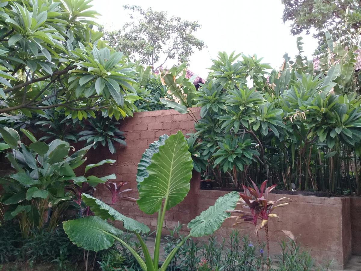 Villa Eliska Sari Sumberkima Pemuteran Exteriör bild