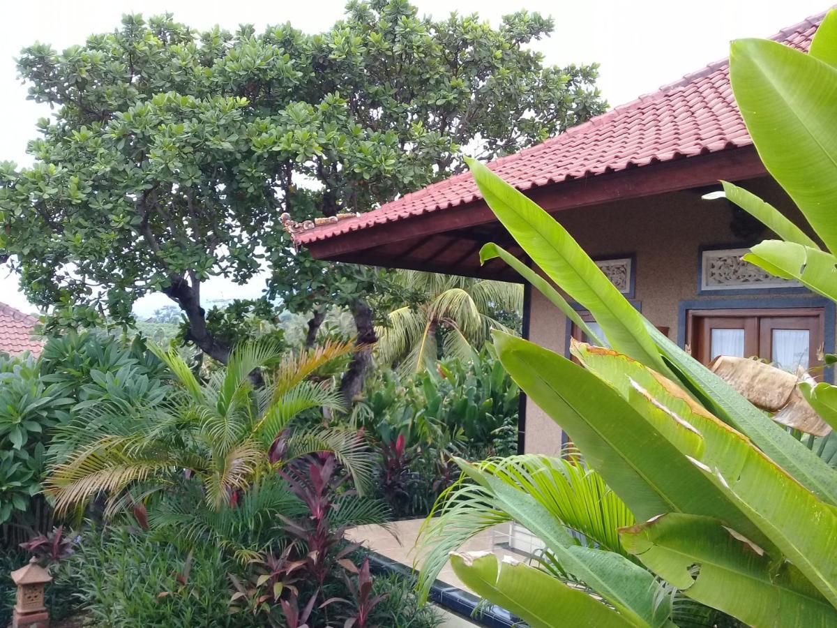 Villa Eliska Sari Sumberkima Pemuteran Exteriör bild